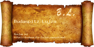 Budaspitz Lujza névjegykártya